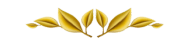 Untitled design (8)